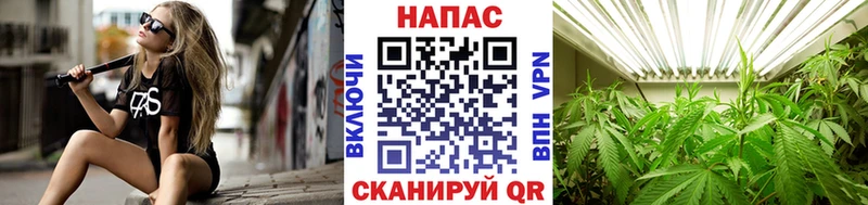 Канабис ГИДРОПОН  Иноземцево 